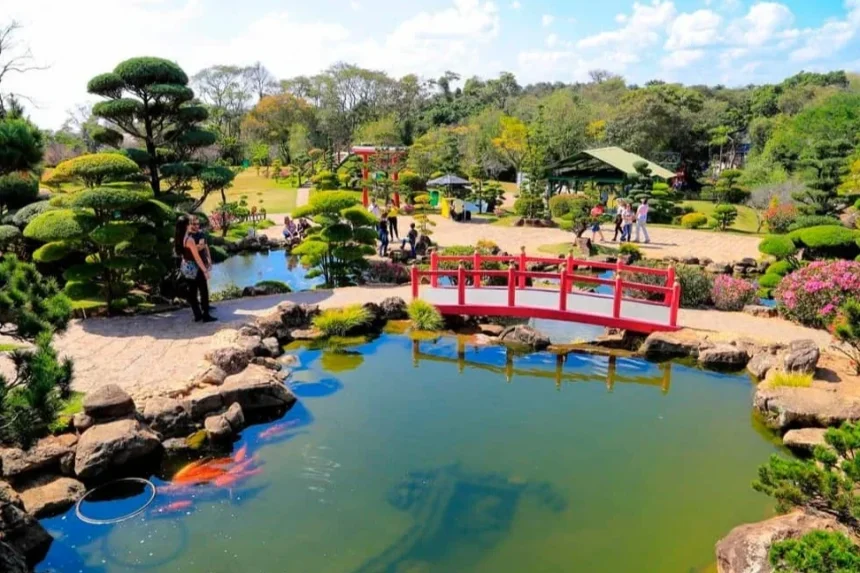 Parque Maeda - 14 de novembro